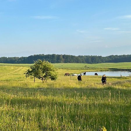 Projekt Stajnia - Nadmorski Osrodek Jazdy Konnej - Noclegi Łazy Kültér fotó